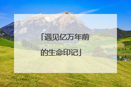 遇见亿万年前的生命印记