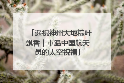 遥祝神州大地粽叶飘香｜重温中国航天员的太空祝福
