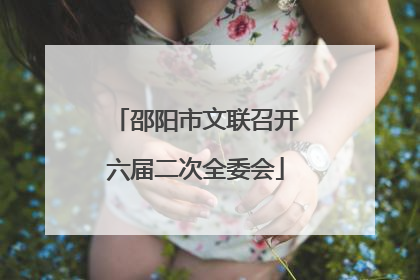 邵阳市文联召开六届二次全委会