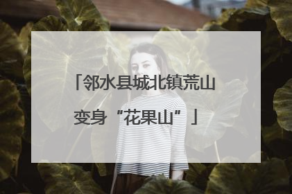 邻水县城北镇荒山变身“花果山”