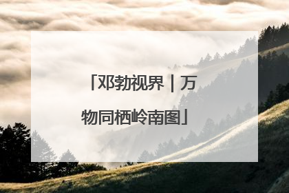 邓勃视界｜万物同栖岭南图