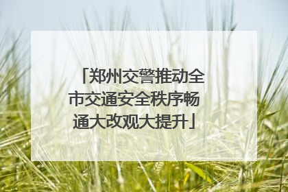 郑州交警推动全市交通安全秩序畅通大改观大提升