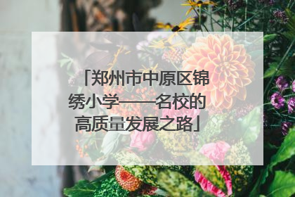 郑州市中原区锦绣小学——名校的高质量发展之路