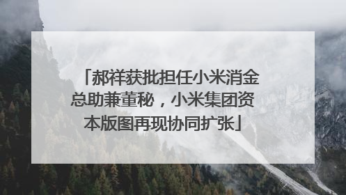 郝祥获批担任小米消金总助兼董秘，小米集团资本版图再现协同扩张