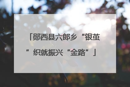 郧西县六郎乡“银茧”织就振兴“金路”