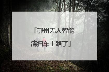 鄂州无人智能清扫车上路了