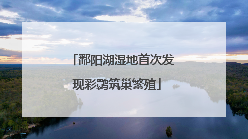 鄱阳湖湿地首次发现彩鹮筑巢繁殖
