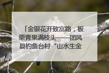 金银花开致富路，板栗青果满枝头——团风县钓鱼台村“山水生金”谱写共富新篇章