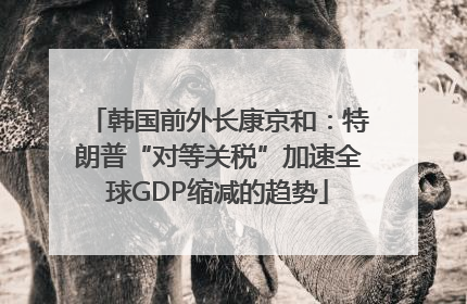 韩国前外长康京和：特朗普“对等关税”加速全球GDP缩减的趋势