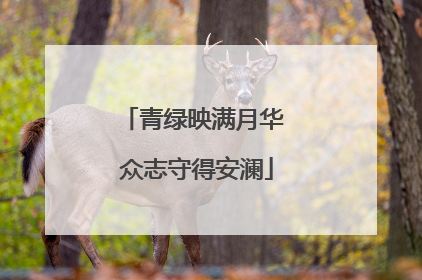 青绿映满月华 众志守得安澜
