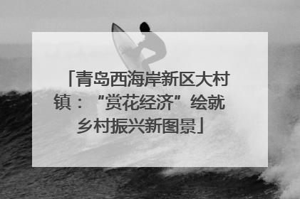 青岛西海岸新区大村镇：“赏花经济”绘就乡村振兴新图景