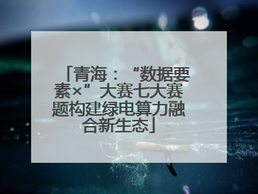 青海：“数据要素×”大赛七大赛题构建绿电算力融合新生态