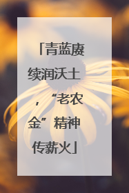 青蓝赓续润沃土，“老农金”精神传薪火