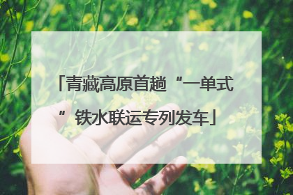 青藏高原首趟“一单式”铁水联运专列发车