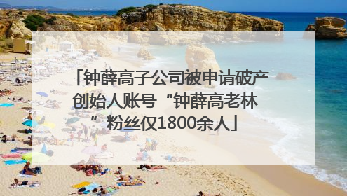 钟薛高子公司被申请破产 创始人账号“钟薛高老林”粉丝仅1800余人