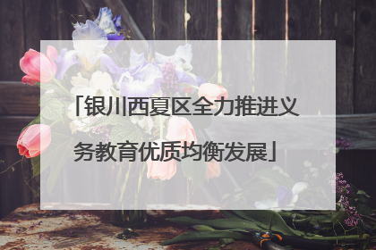 银川西夏区全力推进义务教育优质均衡发展