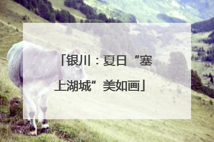 银川：夏日“塞上湖城”美如画