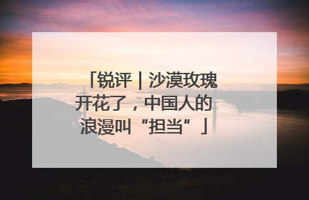 锐评｜沙漠玫瑰开花了，中国人的浪漫叫“担当”