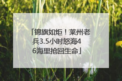 锦旗如炬！莱州老兵3.5小时怒海46海里抢回生命