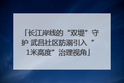 长江岸线的“双堤”守护 武昌社区防溺引入“1米高度”治理视角