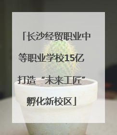 长沙经贸职业中等职业学校15亿打造“未来工匠”孵化新校区