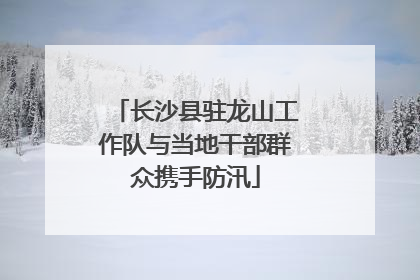 长沙县驻龙山工作队与当地干部群众携手防汛