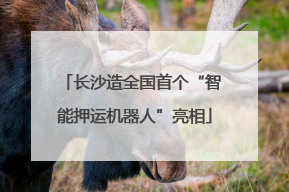 长沙造全国首个“智能押运机器人”亮相