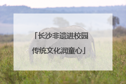 长沙非遗进校园 传统文化润童心