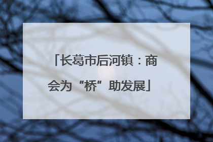 长葛市后河镇：商会为“桥”助发展
