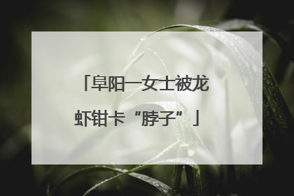 阜阳一女士被龙虾钳卡“脖子”