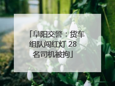 阜阳交警：货车组队闯红灯 28名司机被拘