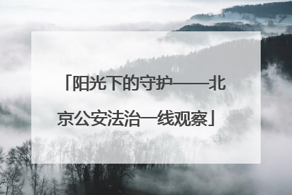 阳光下的守护——北京公安法治一线观察