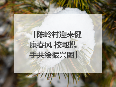 陈岭村迎来健康春风 校地携手共绘振兴图