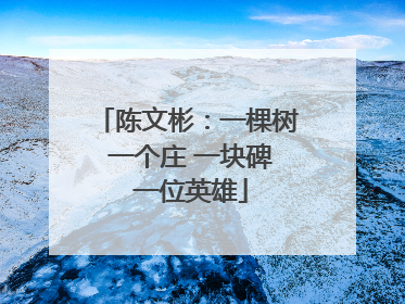 陈文彬：一棵树 一个庄 一块碑 一位英雄