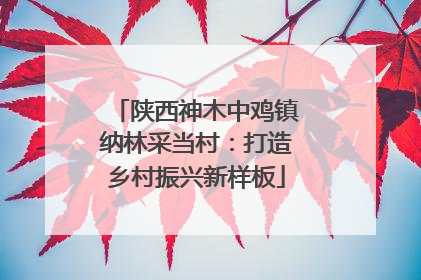 陕西神木中鸡镇纳林采当村：打造乡村振兴新样板