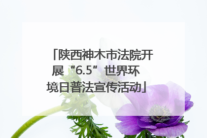 陕西神木市法院开展“6.5”世界环境日普法宣传活动