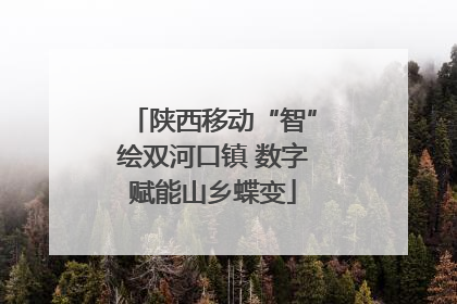 陕西移动“智”绘双河口镇 数字赋能山乡蝶变