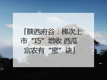 陕西府谷：梯次上市“巧”增收 西瓜富农有“蜜”诀