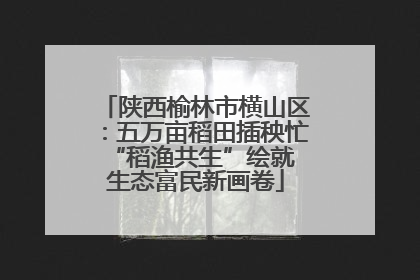 陕西榆林市横山区：五万亩稻田插秧忙 “稻渔共生”绘就生态富民新画卷