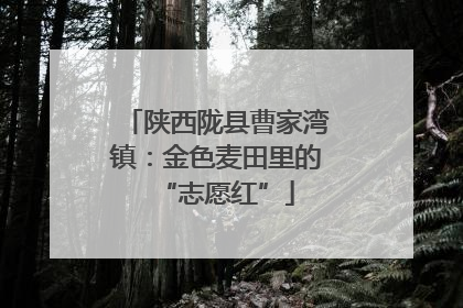 陕西陇县曹家湾镇：金色麦田里的“志愿红”