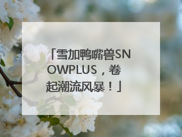 雪加鸭嘴兽SNOWPLUS，卷起潮流风暴！