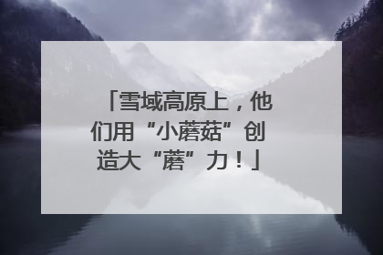 雪域高原上，他们用“小蘑菇”创造大“蘑”力！