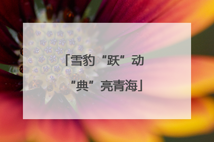 雪豹“跃”动 “典”亮青海