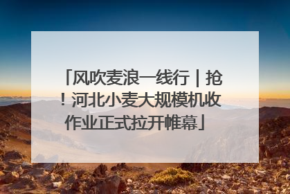 风吹麦浪一线行｜抢！河北小麦大规模机收作业正式拉开帷幕