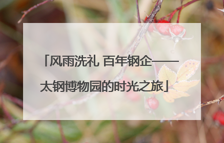风雨洗礼 百年钢企——太钢博物园的时光之旅