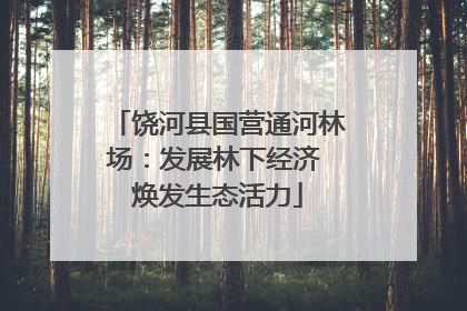 饶河县国营通河林场：发展林下经济 焕发生态活力