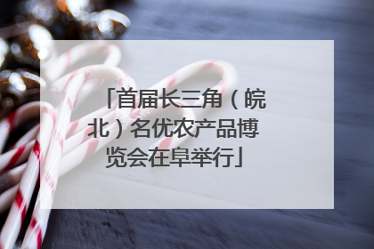首届长三角（皖北）名优农产品博览会在阜举行