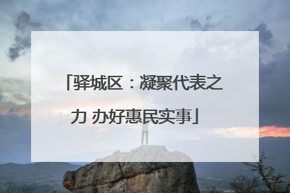 驿城区：凝聚代表之力 办好惠民实事