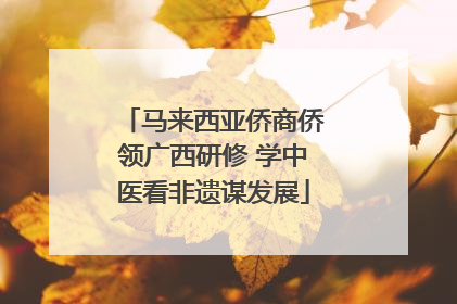 马来西亚侨商侨领广西研修 学中医看非遗谋发展