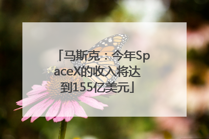 马斯克：今年SpaceX的收入将达到155亿美元